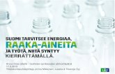 Jorma Mikkonen 17.5.2013: Suomi tarvitsee energiaa, raaka-aineita ja työtä