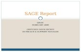 SAGE QRAM Report Feb 09