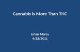 Cannabis is More Than THC