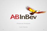 AB InBev Financial Analysis