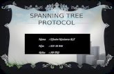 STP (Spanning Tree Protocol)