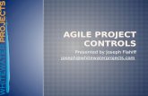 Agile project control
