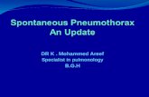 Spontaneous Pneumothorax An Update