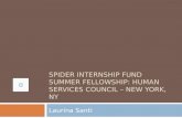 Spider Internship Fund Summer Fellowship LSanti