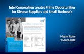 Global Supplier Diversity - Megan Stowe, Intel
