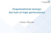 Plenary Presentations - Helen Bevan