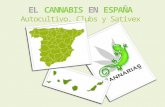 Cannabis en España