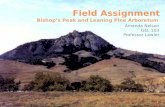 Field Assignment- GEL 103