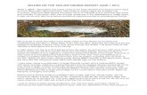 Taylor River Fly-Fishing Report June 2 2014