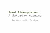 Pond atmospheres Photo Essay: A pond awakening from early morning fog