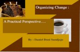 HOW TO ORGANIZE CHANGE by DANIEL DONI SUNDJOJO