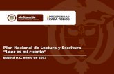 Presentacion PNLE 2011-2013