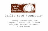 Garlic Seed Foundation Pres