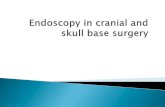 Endoscopy in cranial and skull base surgery