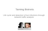 Life Cycle And Detection Of Bot Infections Through Network Traffic Analysis