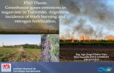 Greenhouse gases emissions in sugarcane in Tucumán, Argentina: Incidence of trash burning and nitrogen fertilization