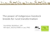 The power of indigenous breeds for rural transformation - presentation given at the National Agricultural Research Institute in Lae, PNG