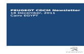 Peugeot Egypt Newsletter- 18 December 2011