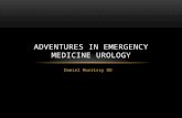 ED Urology.  Dr Dan Morrissy