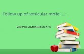 Follow up of vesicular mole