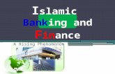 Islamic finance ov