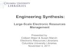 Engineering Synthesis: Large-Scale Electronic Resources Management