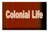 8 colonial life