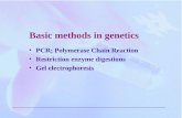 Basic lab methods in molecular genetics