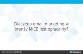 Dlaczego email marketing w branży mice jest opłacalny?