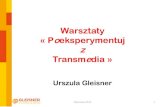 Warsztaty "Poeksperymentuj z transmedia" Warszawa 2013