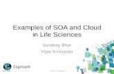SOA and Cloud in Life Sciences
