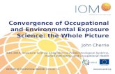 Convergence of Occupational and Environmental Exposure Science: the Whole Picture