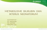 Metabolisme bilirubin