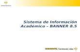 Sistema de informacion academico   banner 8.5