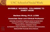 Invisible Wounds: Columbine to Sandy Hook