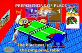 Prepositions of place Ping Pong Game