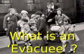 What is an evacuee? Y6 WCPS