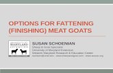 Options for fattening goats
