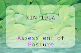 Kin191 A. Ch.3. Assessment Of Posture. Fall 2007