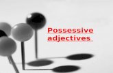 Possessive adjectives 1ro