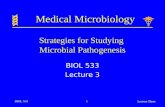 Strategies for Studying Microbial Pathogenesis