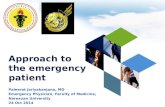 Approach to the emergency patient