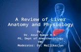A review of liver anatomy and physiology for anesthesiologists