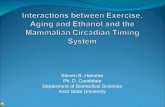 Dissertation Defense Interactions Between Exercise, Aging And Ethanol