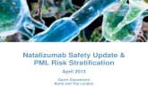 Tysabri safety and pml risk stratification april 2013