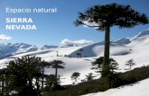 Sierra nevada - Parque nacional