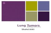 Lung Cancer Pathology & Clinical