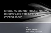 Oral wound healing, biopsy,exfoliative cytology