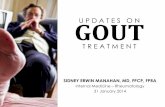 2014 GSS Updates on Gout
