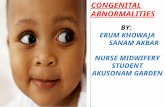 Congenital abnormalities  by Erum Khowaja